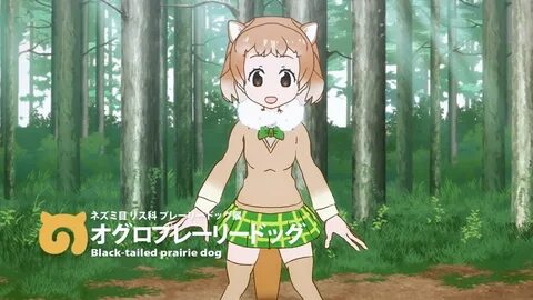 Black-tailed Prairie Dog (Kemono Friends) Wallpaper #2559620 - Zerochan Anime Im