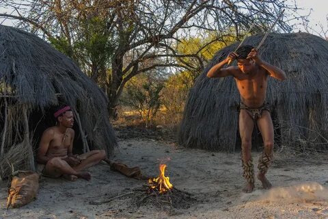 Фотоальбом по Ботсване - Best of Africa