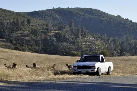 Building A Lexus-powered Nissan Drift Truck - Speedhunters