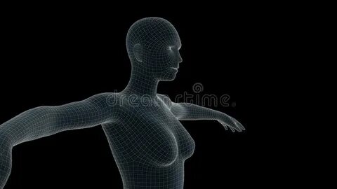 3d Illustration of a Woman Xray Hologram Stock Illustration 