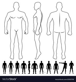 Fashion man body full length bald template figure Vector Ima