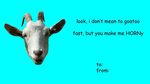Valentine Card Goat idealmakina Notecards & Greeting Cards S