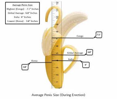 Average Teenage Penis Size Tbphoto.eu