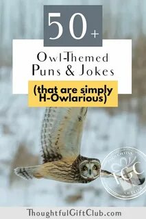 50+ Owl Puns & Jokes for Instagram Captions That Are H-Owlar