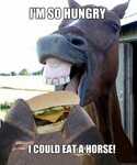 Funny hungry Memes