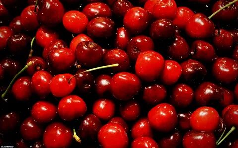Cherry texture background, cherries texture