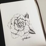 Flower art, ink drawing, gardenia illustration Flower prints