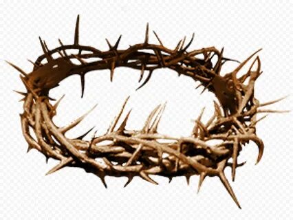 Crown Of Thorns Christian Spines Christianity Citypng