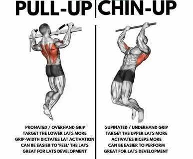 workouts to do pull ups OFF-62