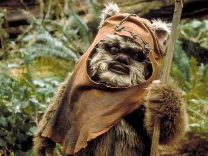 Alguna vez te has preguntado cómo es un Ewok sin piel?