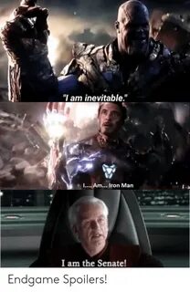 I Am Inevitable Am Iron Man E I I Am the Senate! Endgame Spo