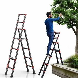 10 Best Trimming Trees Ladder 2021 - Expert Reviews & Guide 