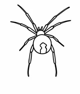 black widow spider coloring pages black widow spooky spider 