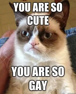 you are so cute you are so gay - Grumpy Cat - quickmeme