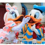 Love Daisy & Donald Duck ! Disney, Cute disney pictures, Don