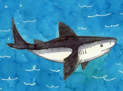 How to Draw a Shark Shark art, Art projects, Classroom art p