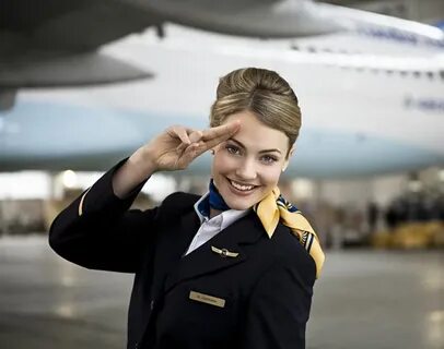 Flight attendant Flight attendant, Flight attendant humor, F