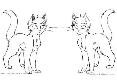 cat ref lineart by evertenn on DeviantArt Warrior cats art, 