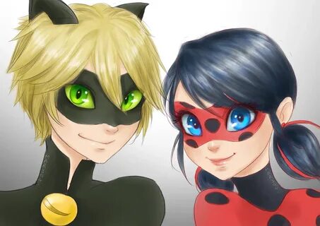 Miraculous Ladybig and Cat Noir Behance