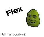 Flex Flexing Meme on ME.ME