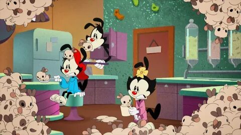 Animaniacs Episode 1 Related Keywords & Suggestions - Animan