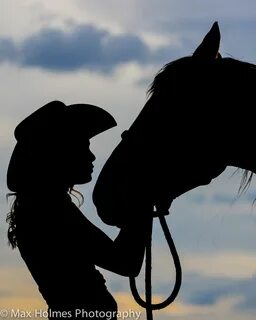 Horse silhouette, Horses, Horse pictures