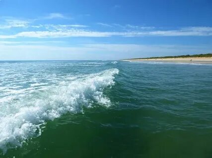 Canaveral National Seashore, Флорида: лучшие советы перед по