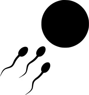 Sperm Cells Egg Svg Png Icon Free Download (#529442) - Onlin