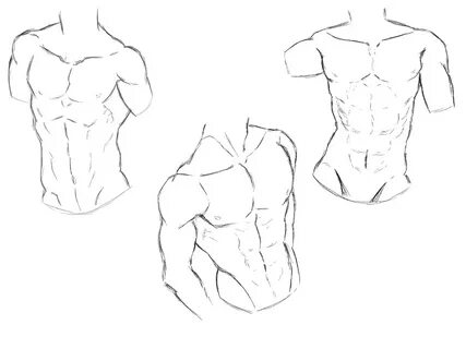Anime Muscle Reference - Deondees Wallpaper