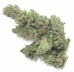 Gorilla Glue #4 by Medizin - Vegas Cannabis Magazine