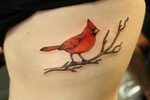 Cardinal Tattoo On Side Rib Tattoos Cardinal tattoos, Red bi