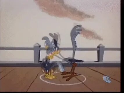 Wile E. Coyote Vs. Gravity GIF Gfycat