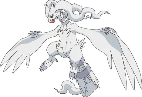 Reshiram Pokémon Wiki FANDOM powered by Wikia Pokemon mewtwo