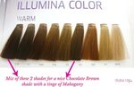 Sunkissed by Illumina! Wella hair color chart, Wella hair co