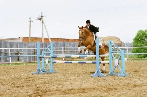 The 10 Commandments. One of the most famous American equestr