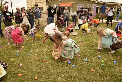 Free photo: Easter Celebration - Blooming, Bunny, Easter - F