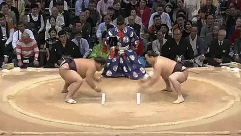 The deceiving cat: Sumo wrestler wins match using "cute" tec