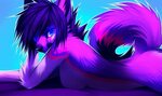 Furry Wallpapers (77+ background pictures)