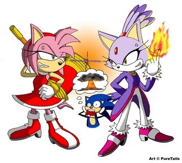 Amy Vs. Blaze - Sonic the Hedgehog Fan Art (38000201) - Fanp