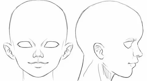 Ortho head reference by Athey on deviantART Anime head, Draw