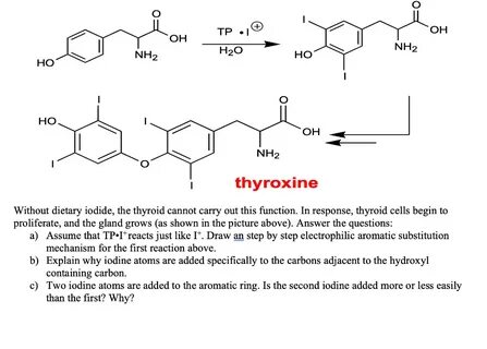 Solved TP .® OH OH - NH2 H2O NH2 HO HO HO. OH NH2 thyroxine 