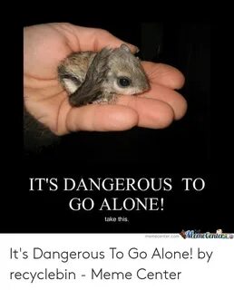 ✅ 25+ Best Memes About Take This Its Dangerous to Go Alone M