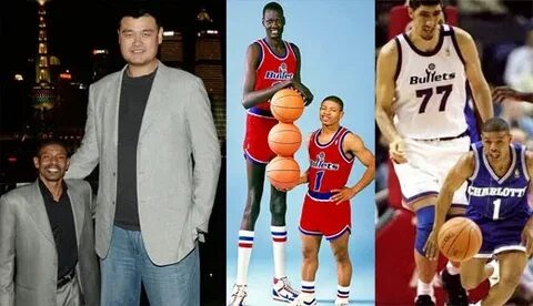 Yao Ming Height Next To Shaq / Yao Ming Yao - The Guy Making