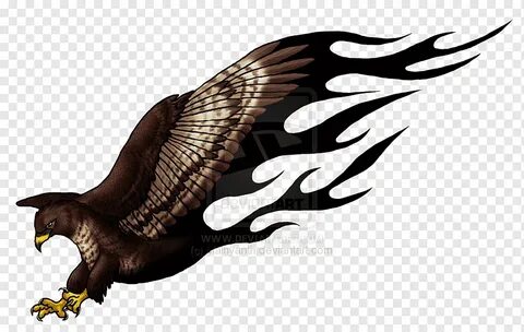 Eagle Buzzard Hawk Tattoo Turkey vulture, eagle, animals, fa