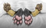 Bed Paws. by Footpaws -- Fur Affinity dot net