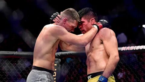 Greatest moments of respect in UFC history BT Sport