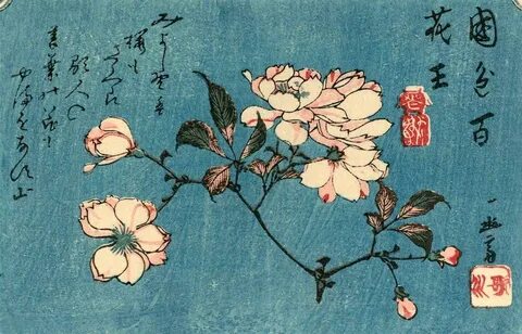 Japanese sakura print