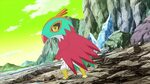 22 Fun And Awesome Facts About Hawlucha From Pokemon - Tons 