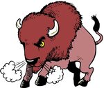 bison clipart free - Clip Art Library