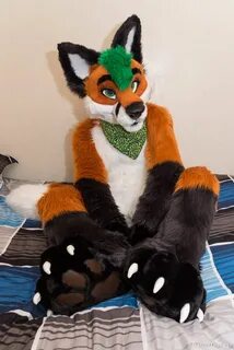 Barton Fox (@BartonTheFox) Twitter Fursuit furry, Fursuit pa